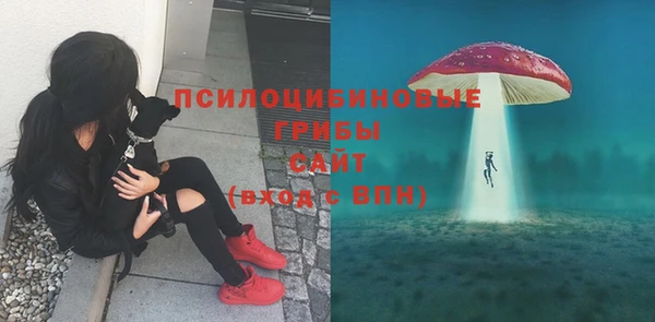 твердый Алзамай