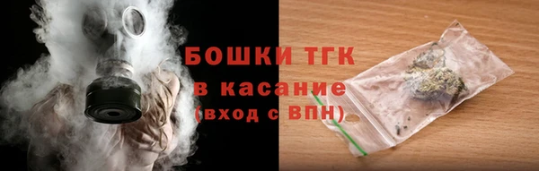 твердый Алзамай