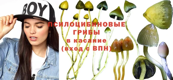 мяу мяу кристалл Алексин