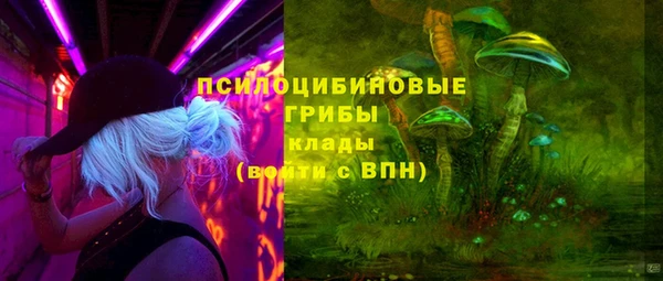 твердый Алексеевка