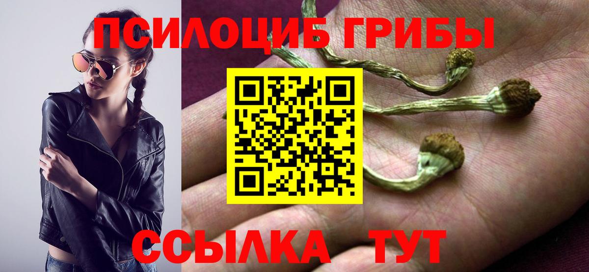 Псилоцибиновые грибы Cubensis  Вход с VPN  наркотики  Чусовой 